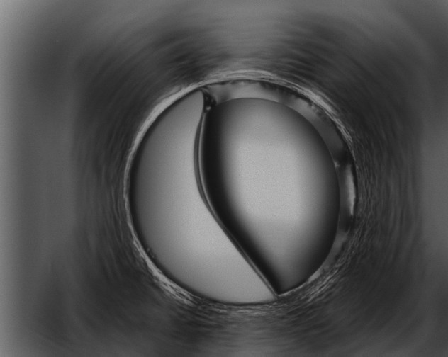 X0000052651430200507160211