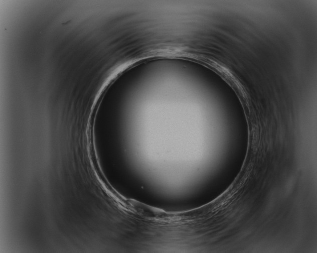 X0000052651432200507160211