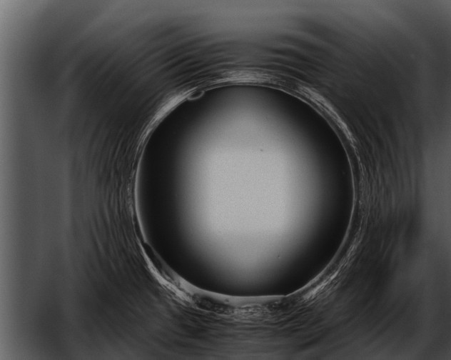 X0000052651433200507160211