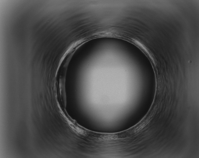 X0000052651434200507160211