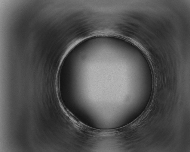X0000052651440200507160211