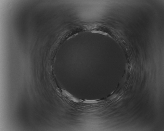 X0000052651441200507160211