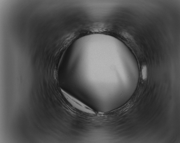 X0000052651444200507160210