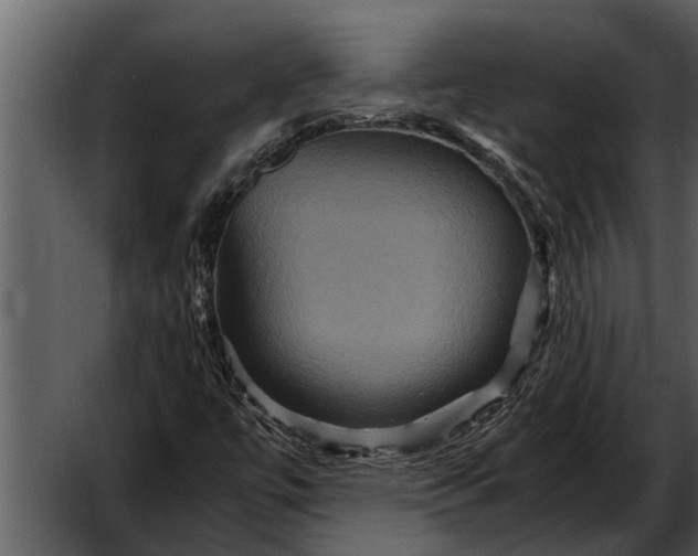 X0000052651447200507160210