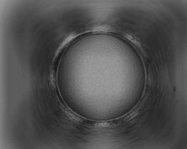 X0000052651454200507160210