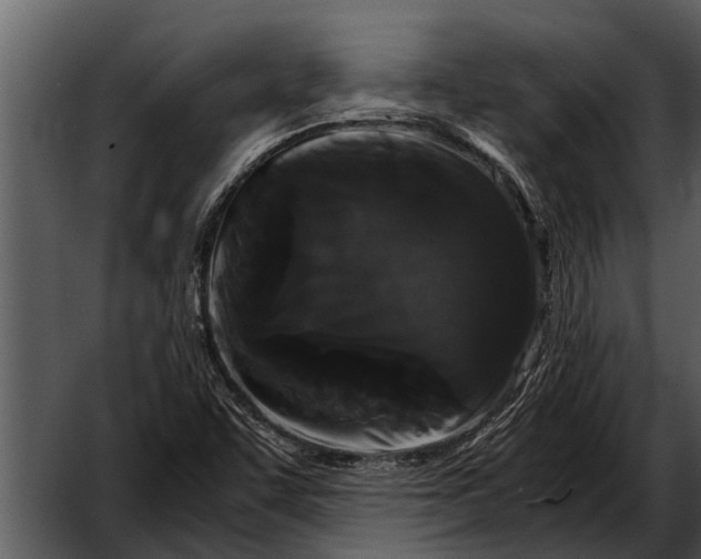 X0000052651455200507160210
