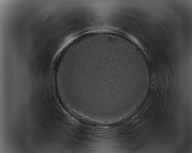 X0000052651456200507160210