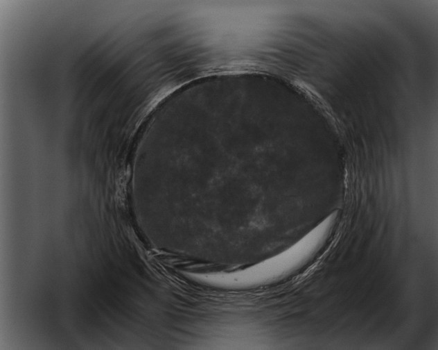 X0000052651457200507160210