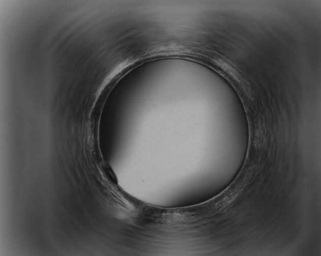 X0000052651458200507160210