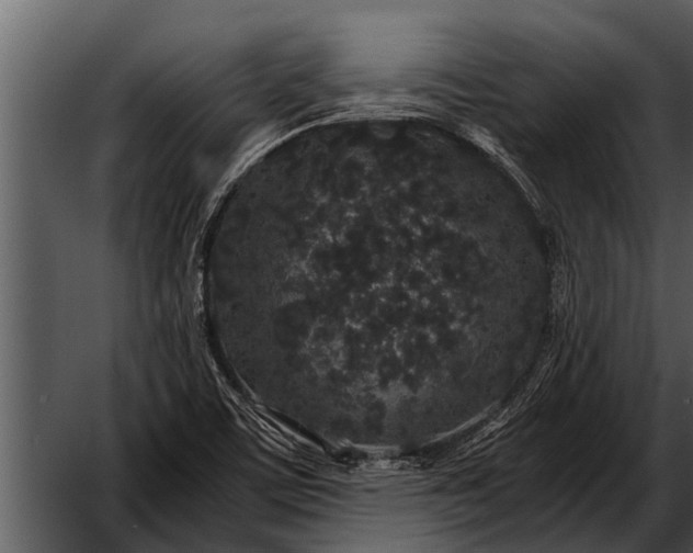 X0000052651459200507160210