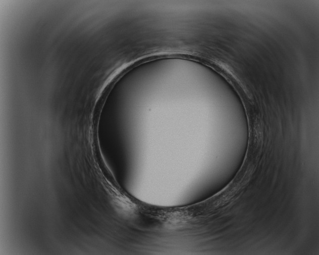 X0000052651460200507160210