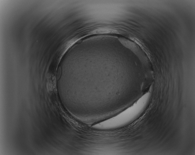 X0000052651465200507160210