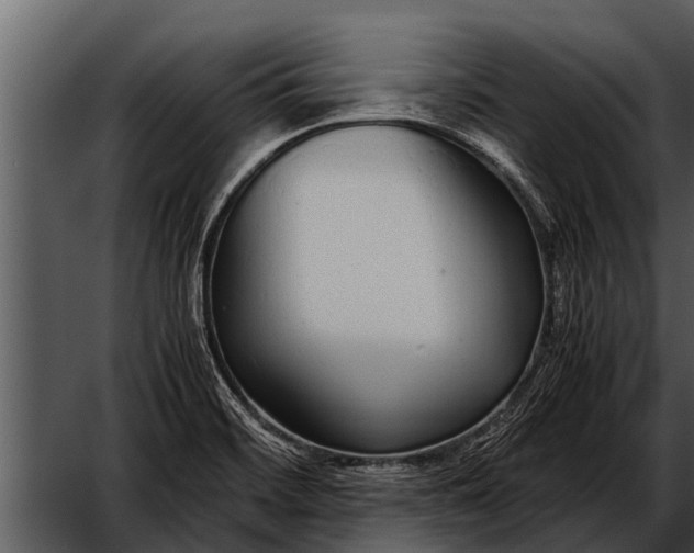 X0000052651468200507160210
