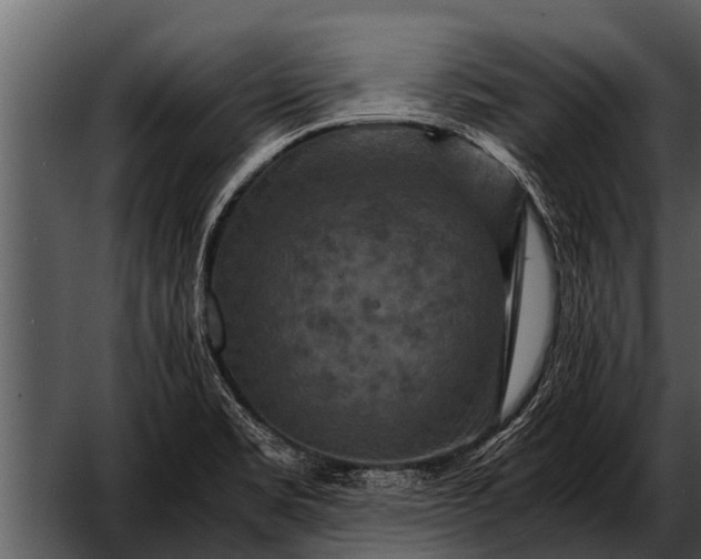 X0000052651469200507160210
