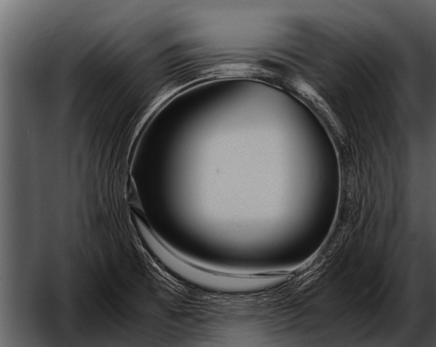 X0000052651473200507160210