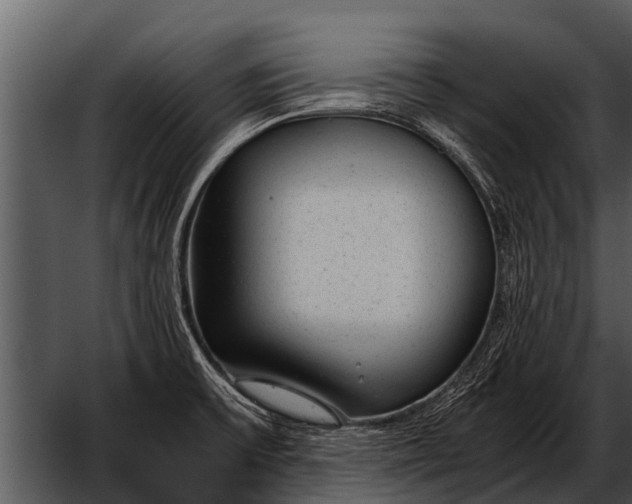 X0000052651475200507160210