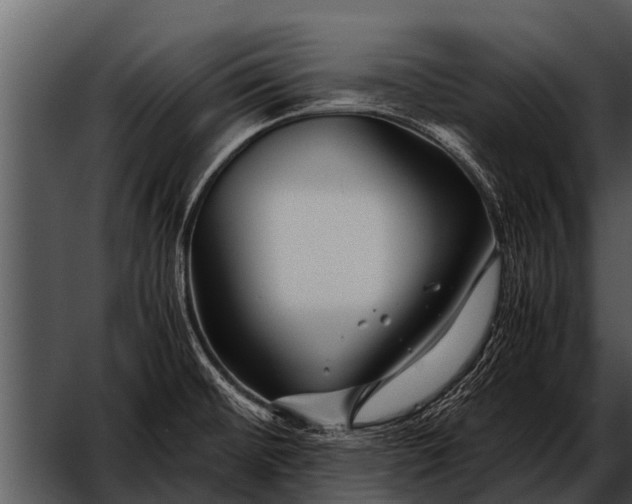 X0000052651476200507160210