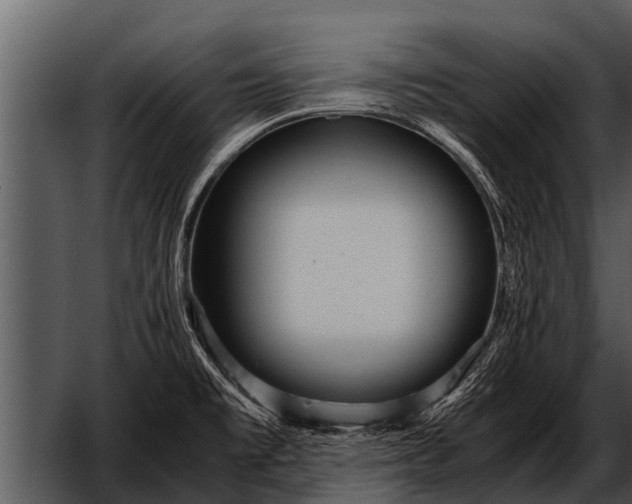 X0000052651477200507160210