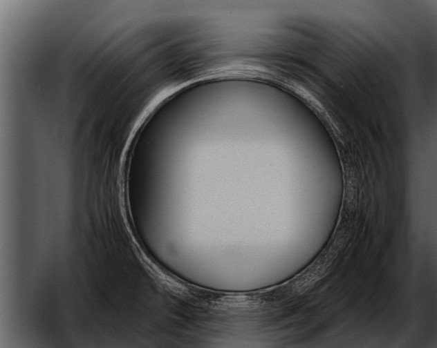 X0000052651478200507160210
