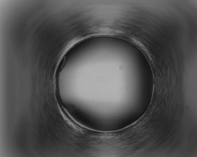X0000052651479200507160210