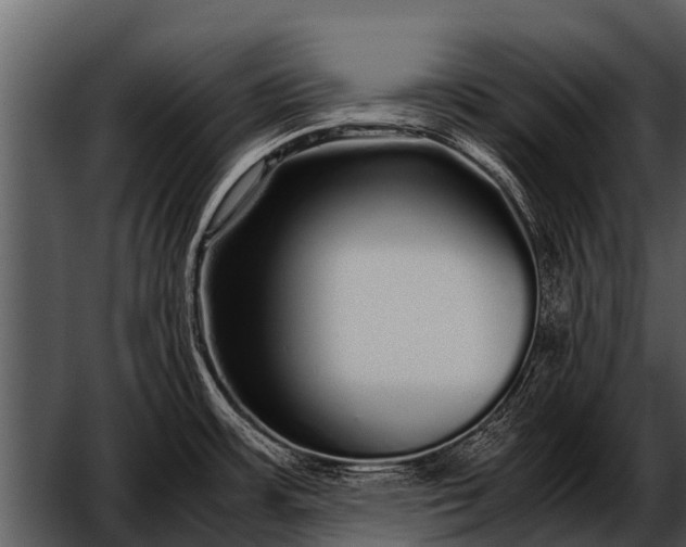 X0000052651483200507160210