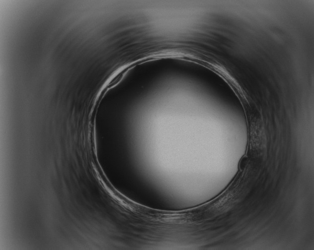 X0000052651484200507160210