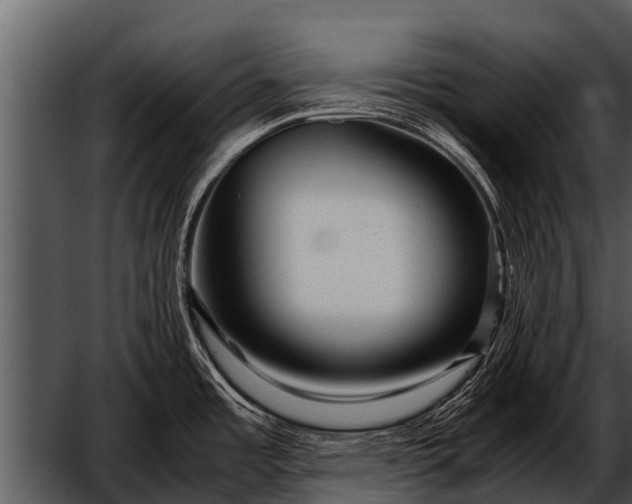 X0000052651485200507160210