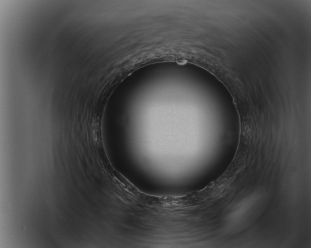 X0000052651490200507160209