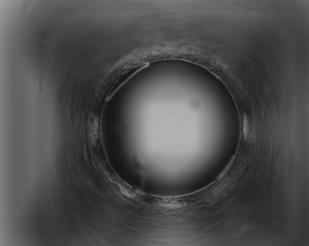 X0000052651492200507160209