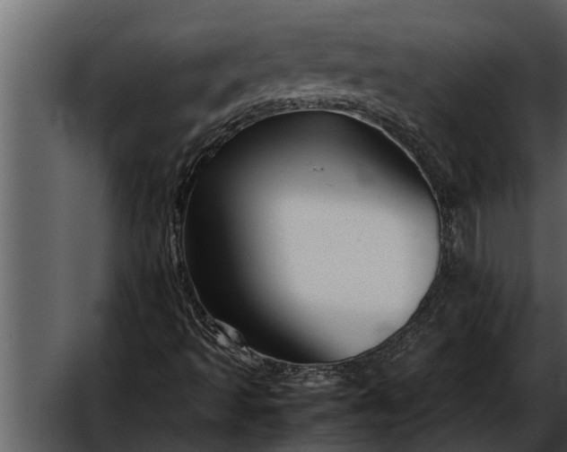 X0000052651493200507160209