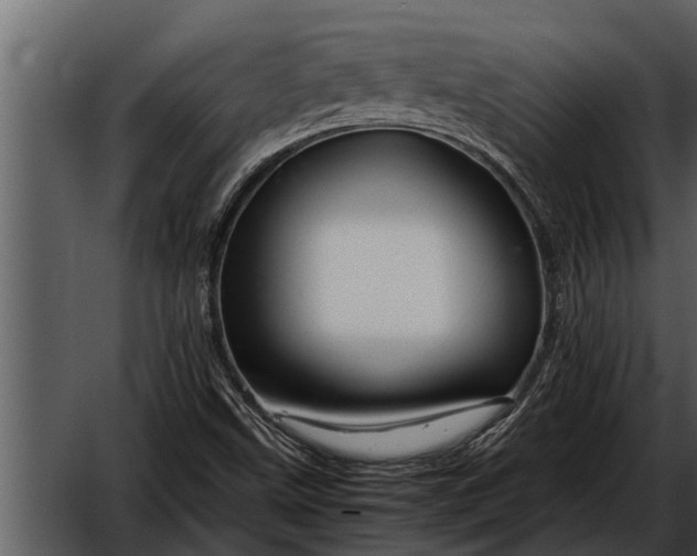 X0000052651499200507160209