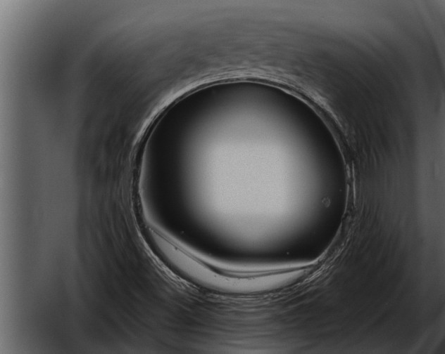 X0000052651500200507160209