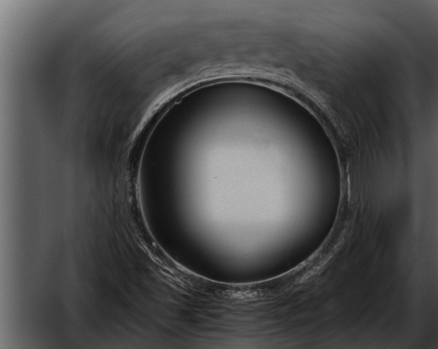 X0000052651501200507160209