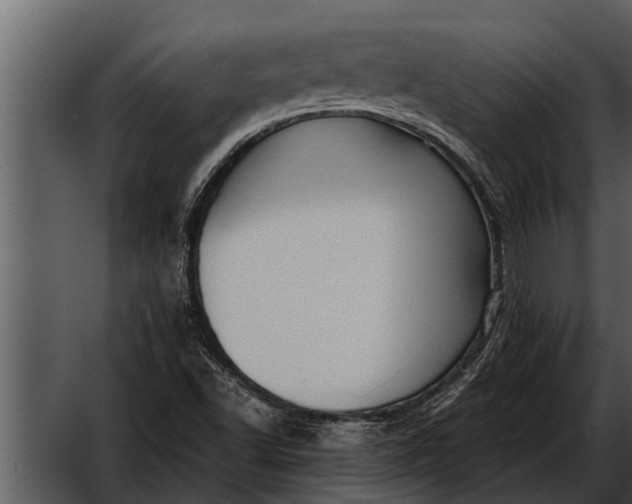 X0000052651502200507160209