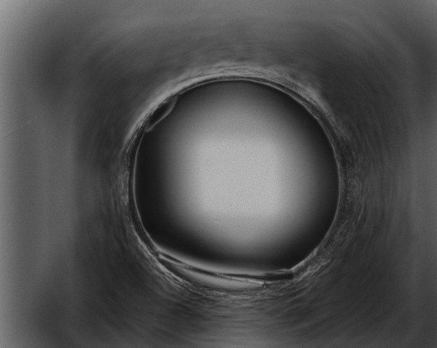 X0000052651504200507160209
