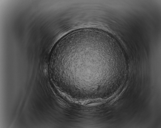 X0000052651505200507160209