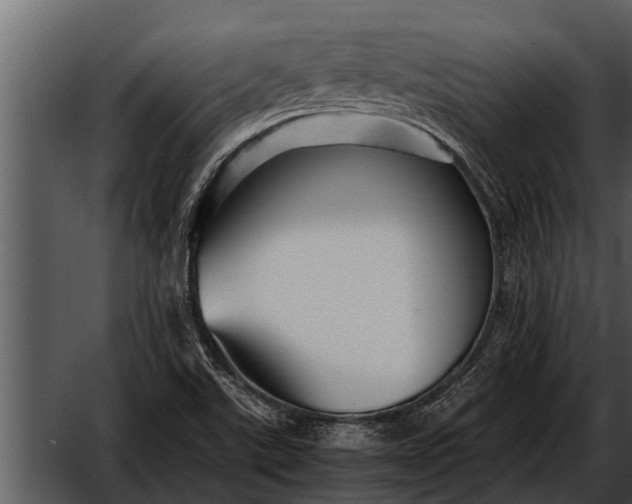 X0000052651507200507160209