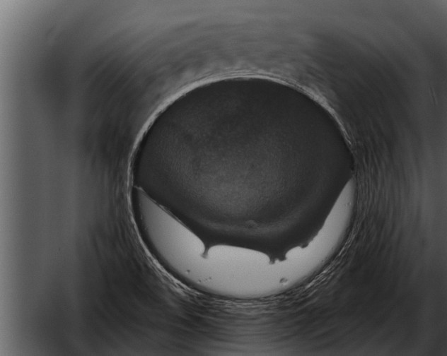 X0000052651508200507160209