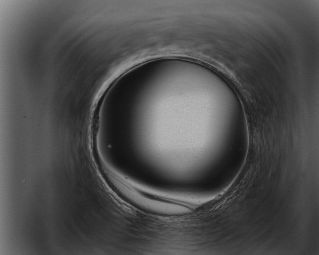 X0000052651512200507160209