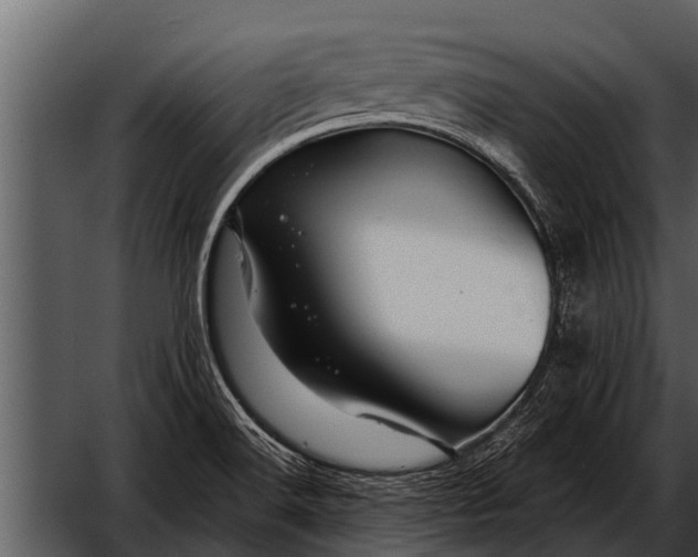 X0000052651516200507160209