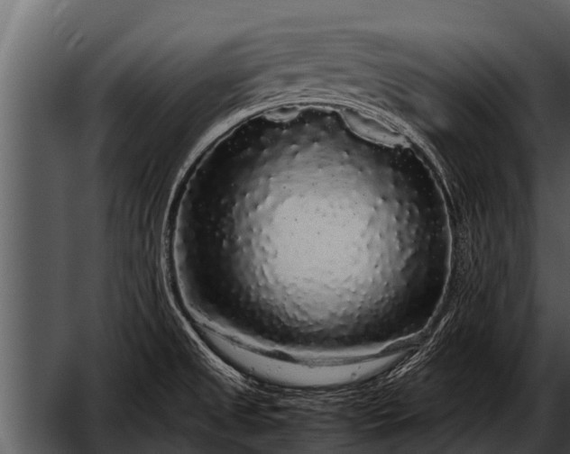 X0000052651525200507160210