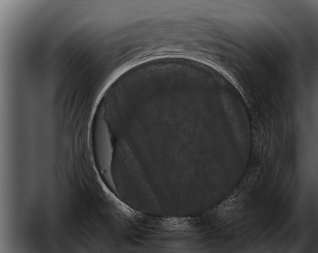 X0000052651527200507160210