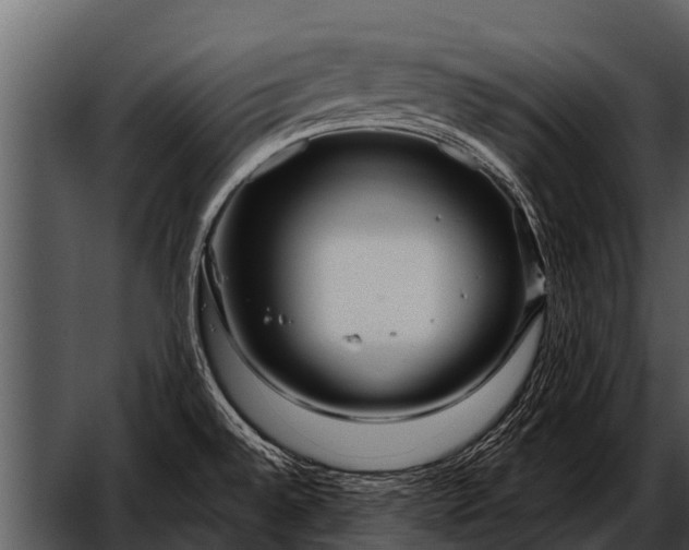 X0000052651528200507160210