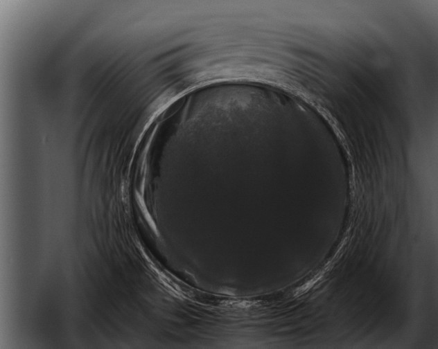 X0000052651529200507160210