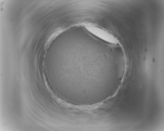 X0000052650001200507221853