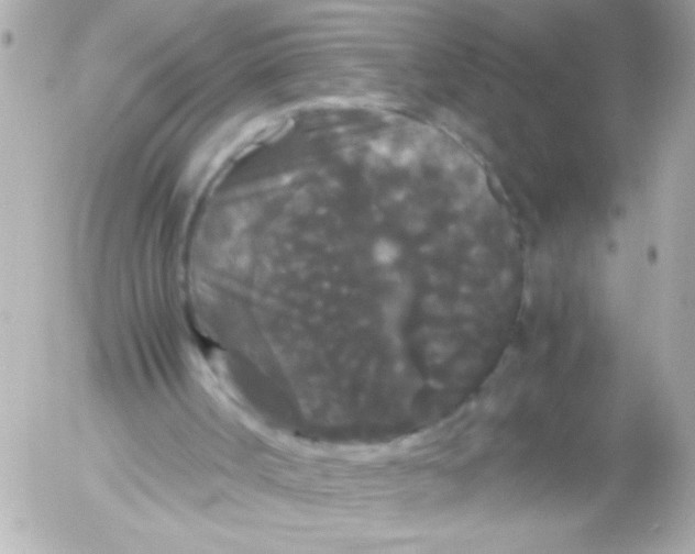 X0000052650002200507221853