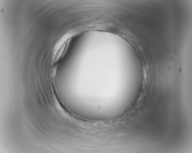 X0000052650003200507221853