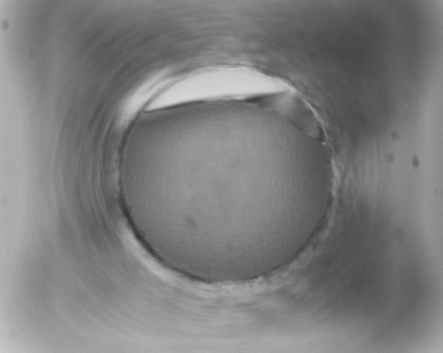 X0000052650005200507221853