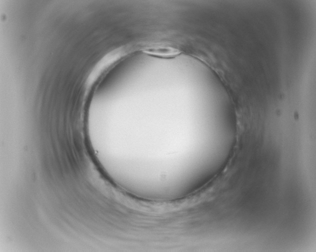 X0000052650006200507221853