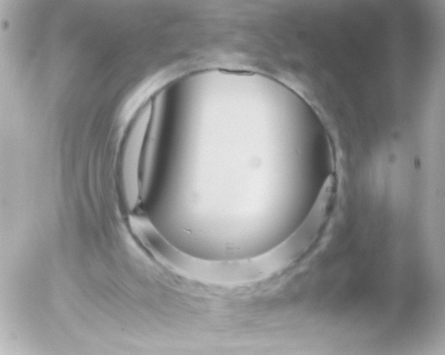 X0000052650007200507221853